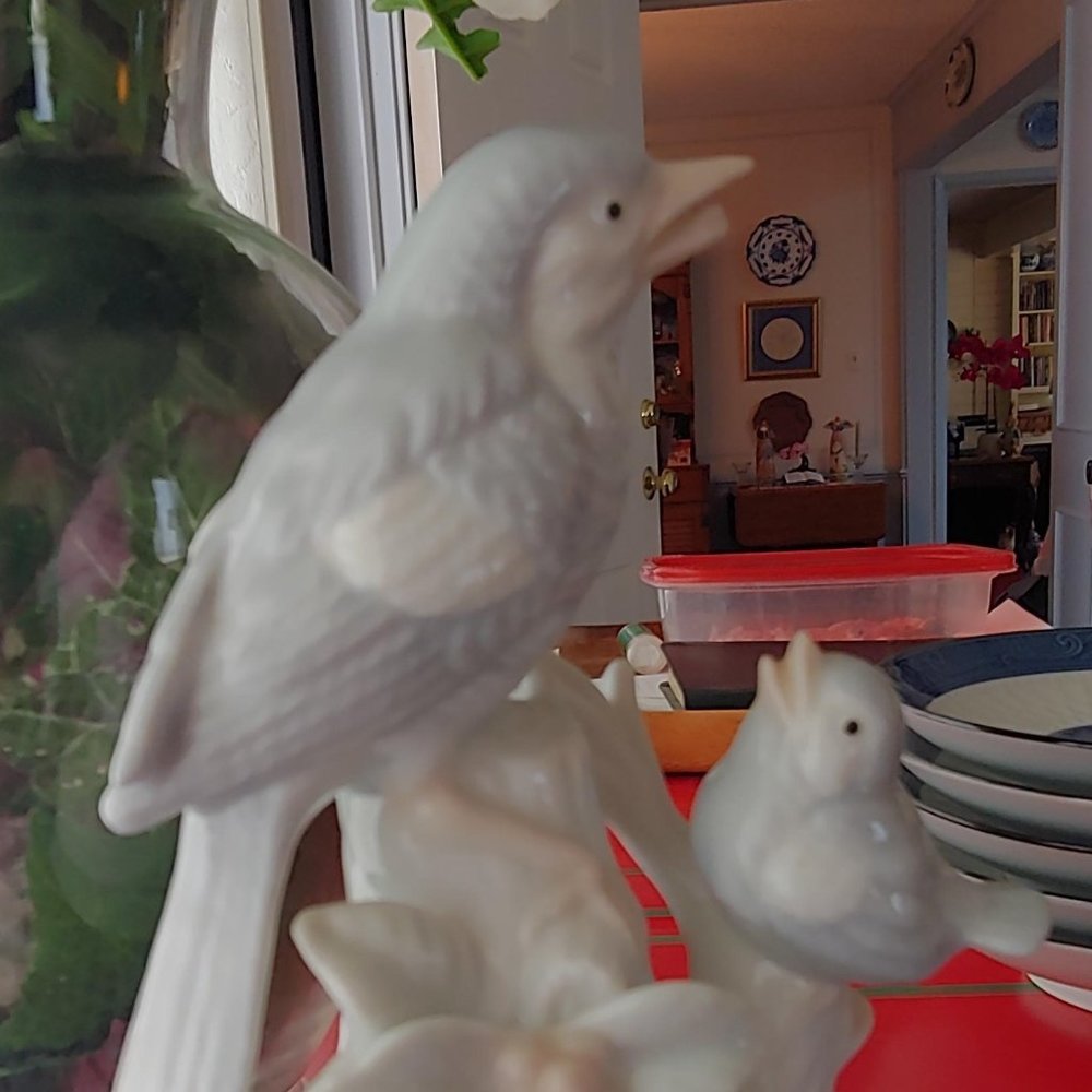 Mama Bird and Baby Revolving Music Box